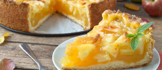 gâteau moelleux aux pommes