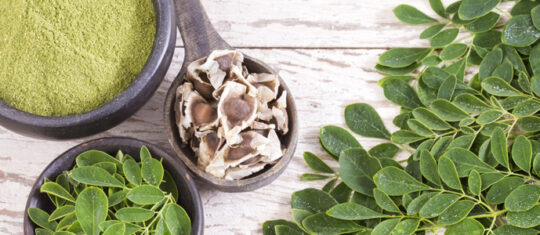 Moringa